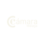 camara nuevo.png