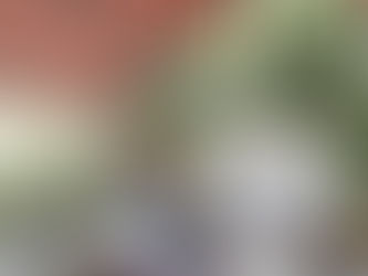 Introducción a la pedagogía Waldorf en la primera infancia