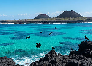 freepik_cinematic-horizontal-ultra-realistic-image-of-galapagos-islands-with-volcanic-rock