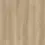 Thumbnail: Bold Oak
