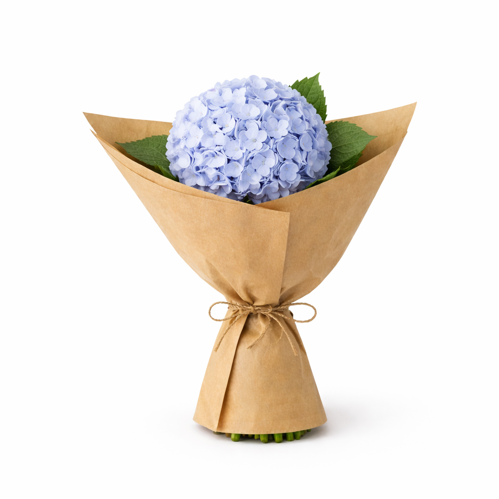 Hortensia Preservada