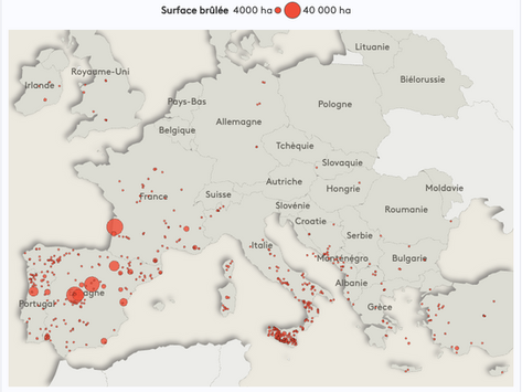Espagne, Italie, Portugal, France... Visualisez l'ampleur des incendies qui sévissent en Europe depuis le début de l'été