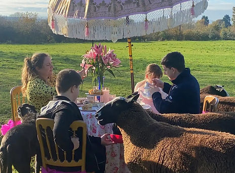 55) Tea with Sheep.jpg