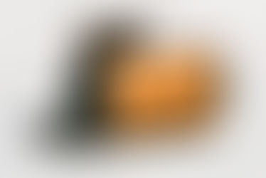 Fotografia Analógica ou Digital?