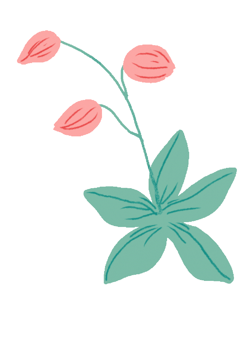 Illustration fleur 02
