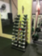Chrome Dumbells 1-10kg
