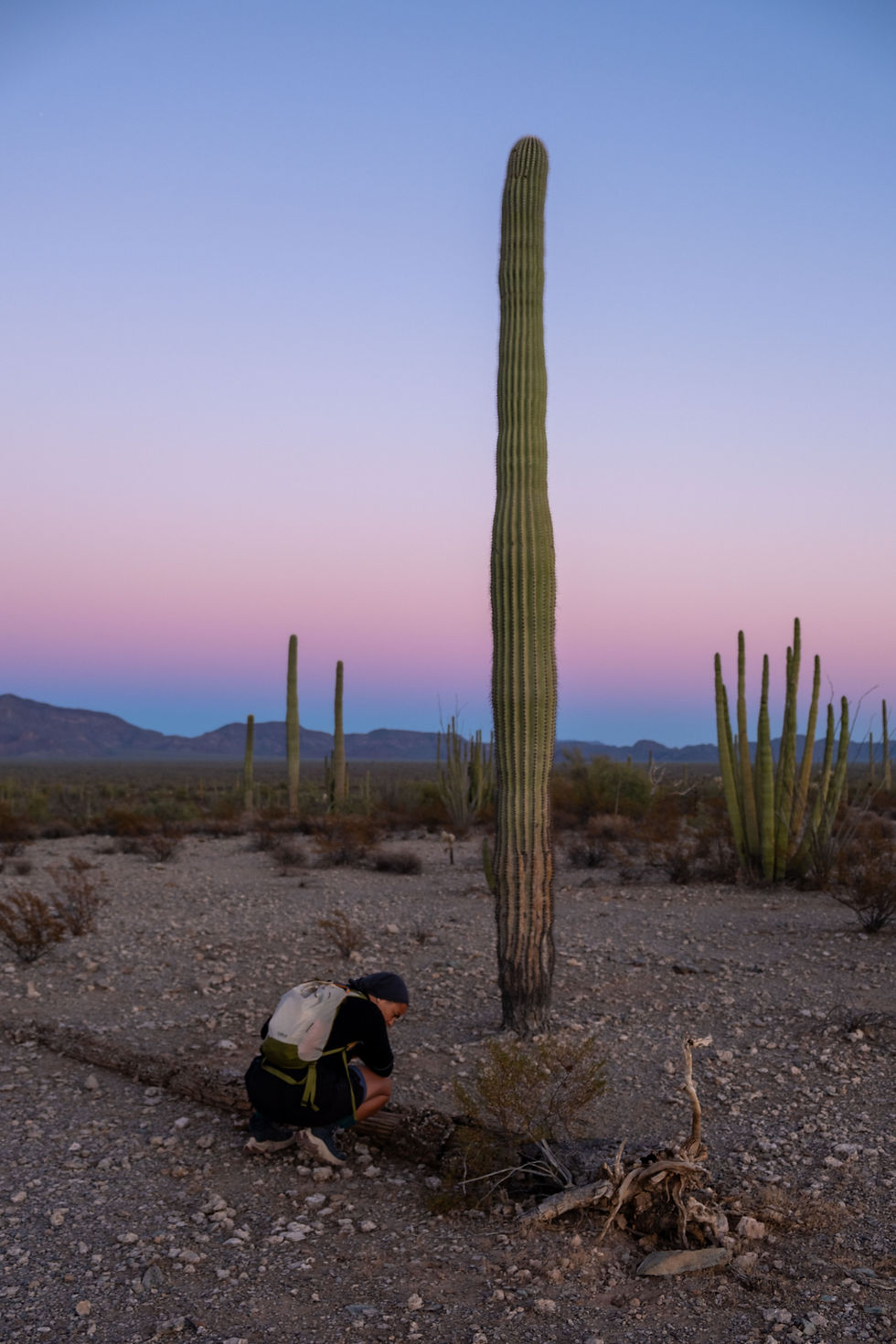 Organ Pipes National Monument, Arizona 2024