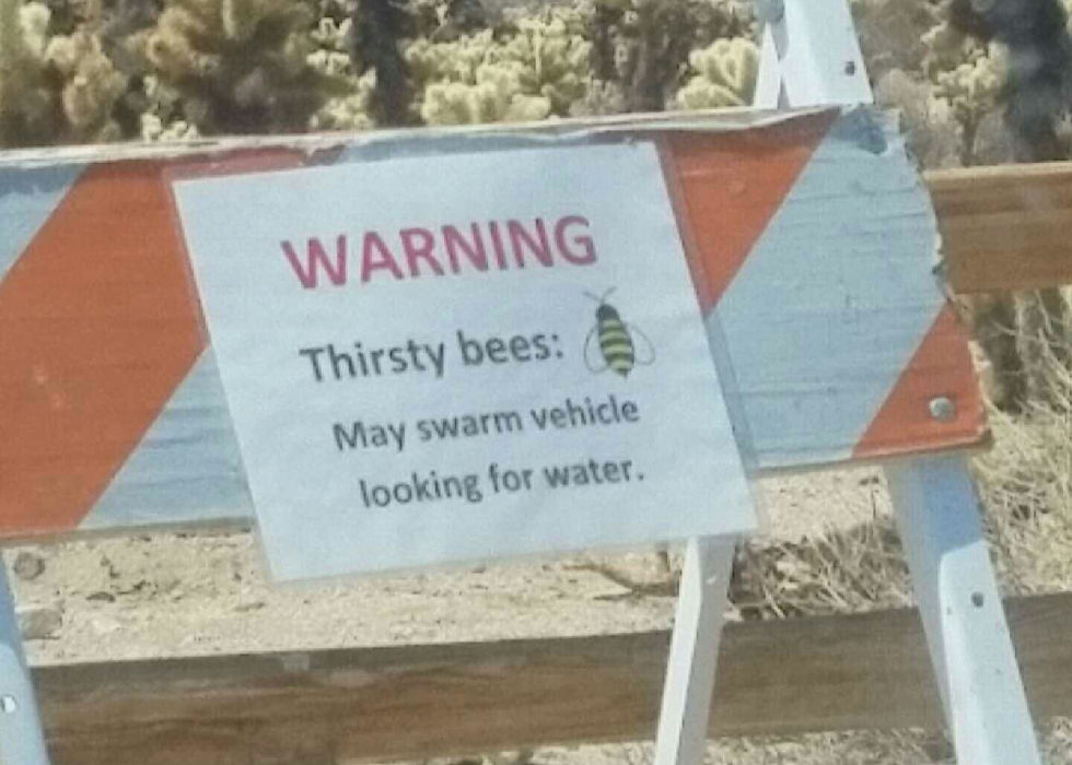 The iconic "Thirsty bees" sign, Joshua Tree, CA 2016