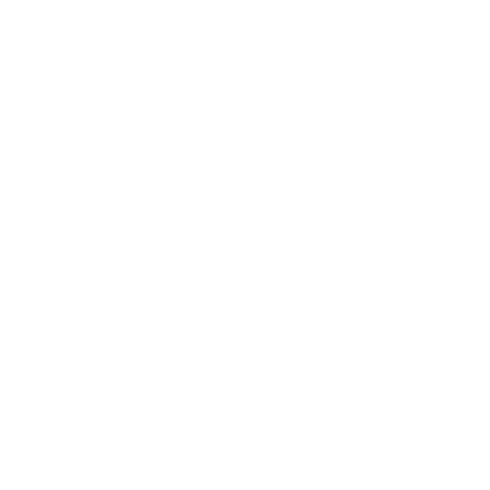 LOGO G BLANCO.png