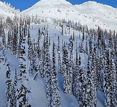 turtle-treeridingadventure-snowmobile-trip.JPG