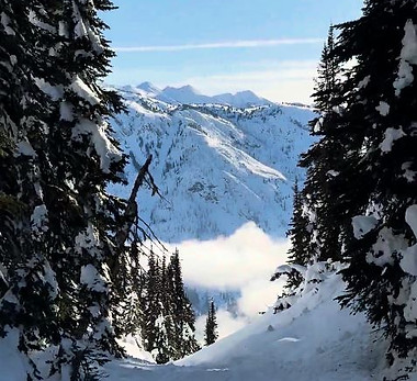griffin-treeridingadventure-snowmobile-snow.JPG