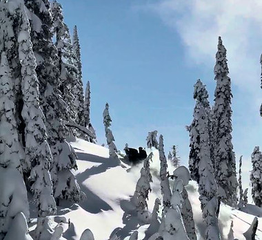 frisby-treeridingadventure-snowmobile-sky.JPG