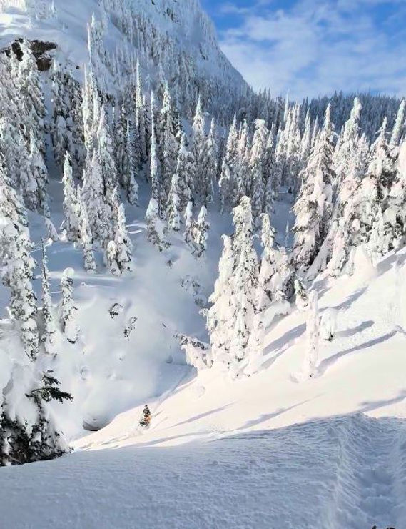 frisby-treeridingadventure-snowmobile-view.JPG