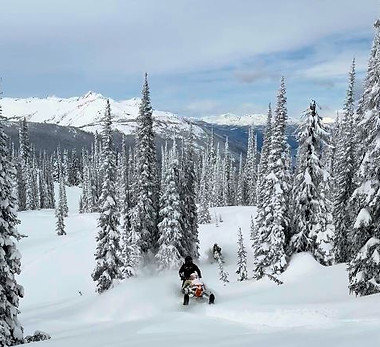 sale-treeridingadventure-snowmobile-mountain.JPG