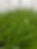 20180528_123604.jpg
