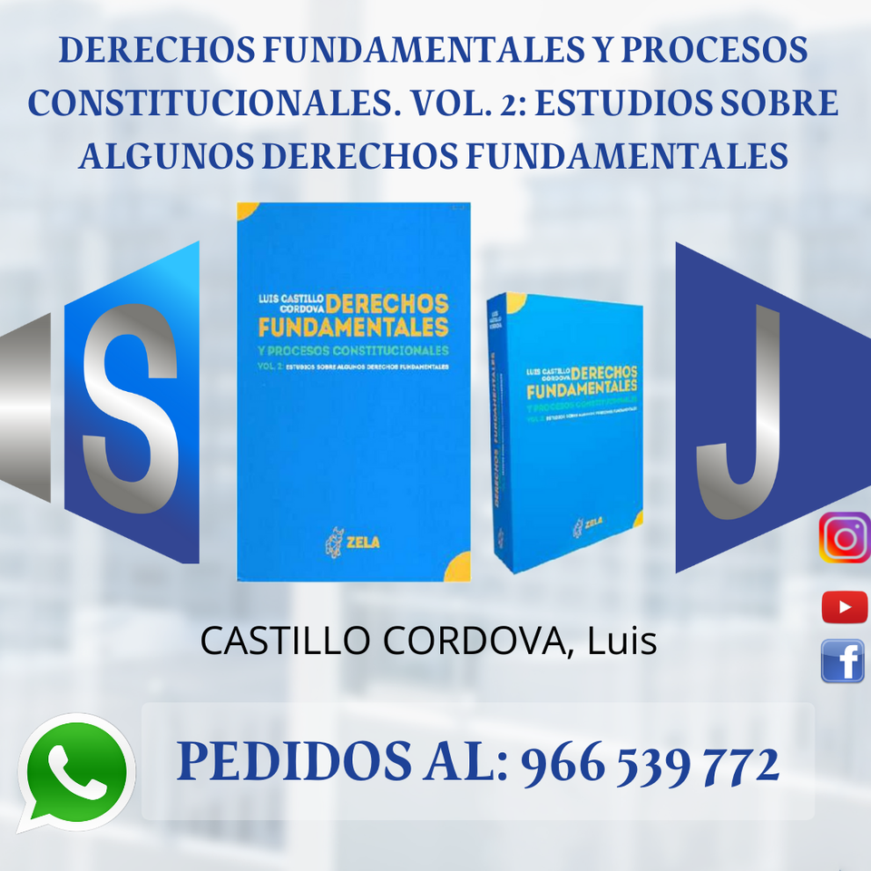 derechos fundamentales y procesos constitucionales