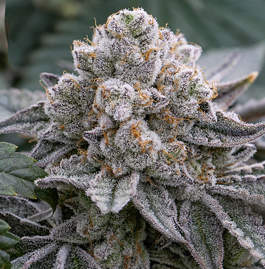 Cereal-Rock-Candy-1000px.jpg