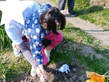 活動報告（金のたまご）