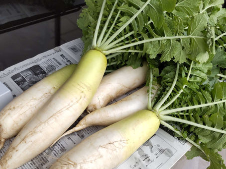 久しぶりに…（金のたまご）