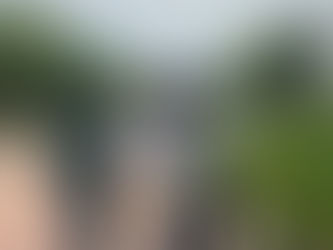 活動報告（金のたまご）