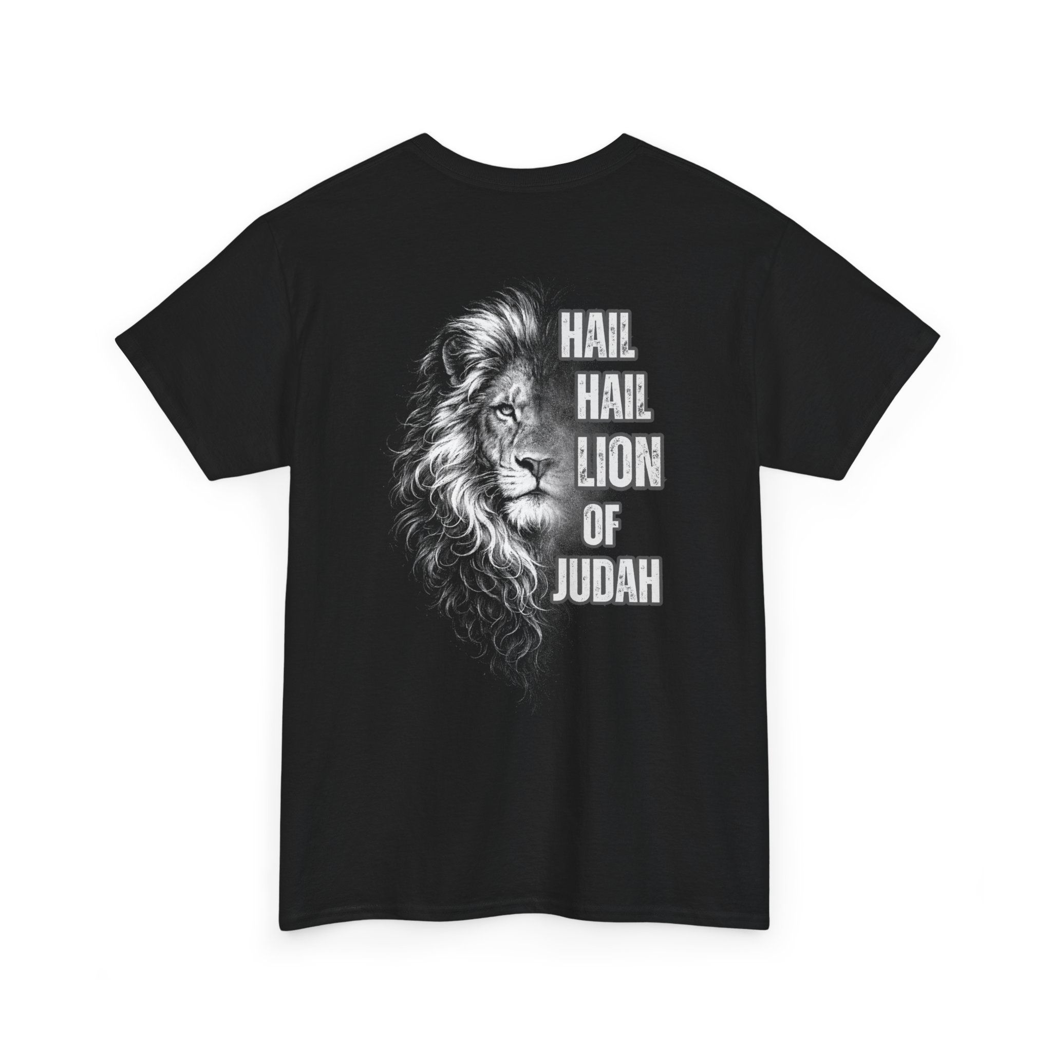 Lion of Judah T‑Shirt — Hail Hail Lion of Judah Christian Tee