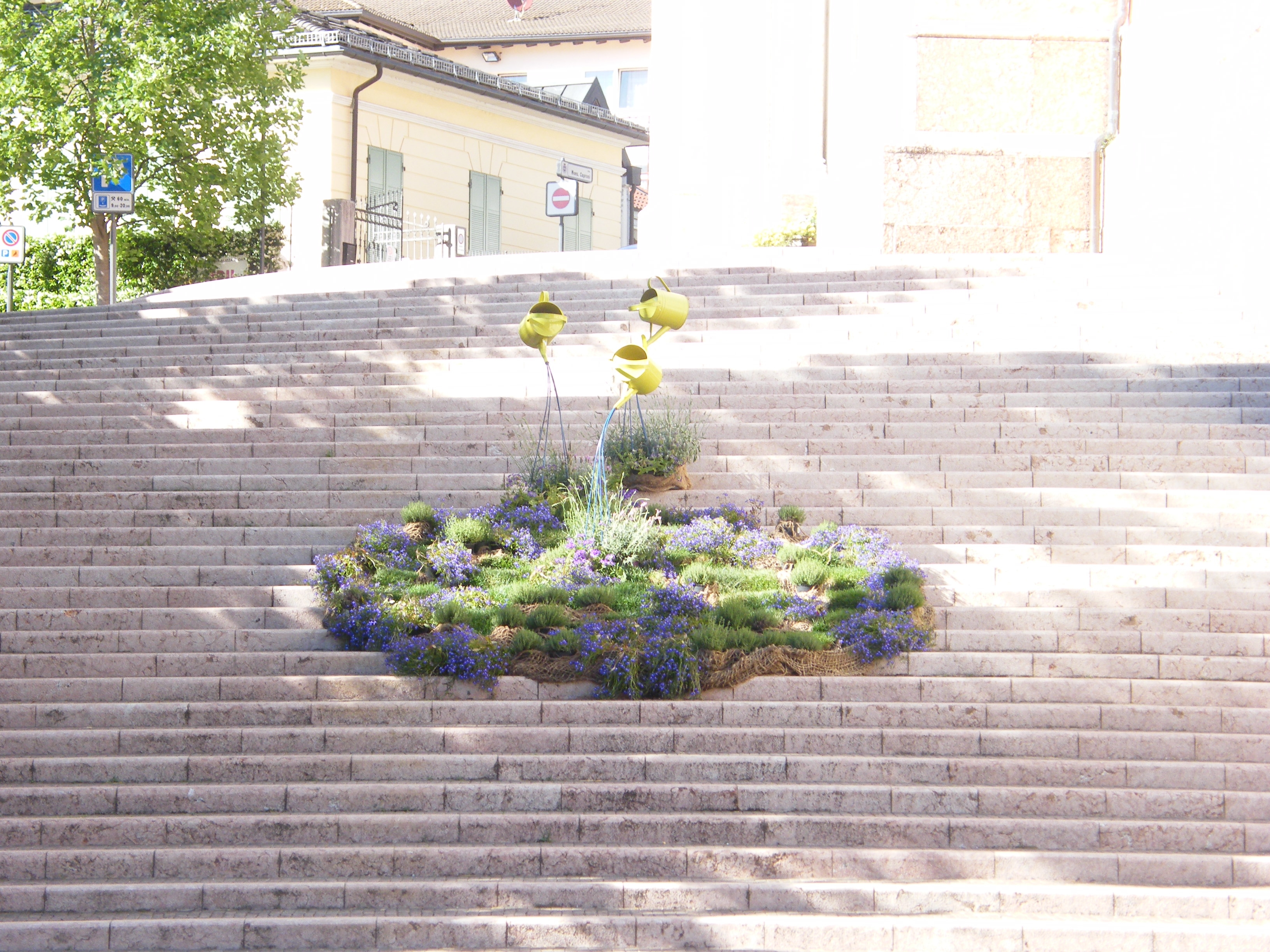 Festival dei fiori