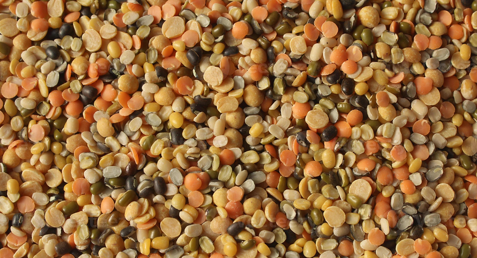 Mixed lentils, ingredient photo