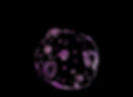 Screen Shot 2025-09-22 at 20.57_edited.jpg
