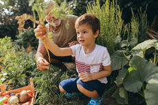 Préparez votre jardin pour le printemps