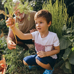 Working in the Garden