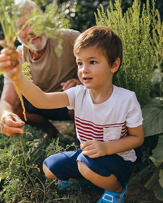 Working in the Garden