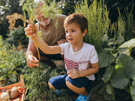 De natuur als leermeester ?