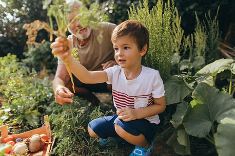 Travailler dans le jardin