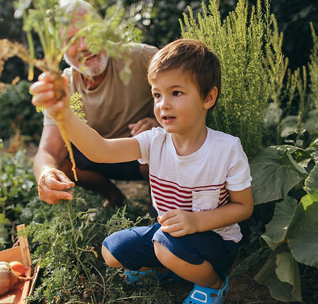 Im Garten arbeiten