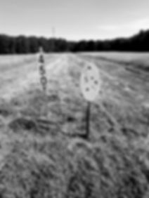 Resized_20180714_091232_6867.jpeg