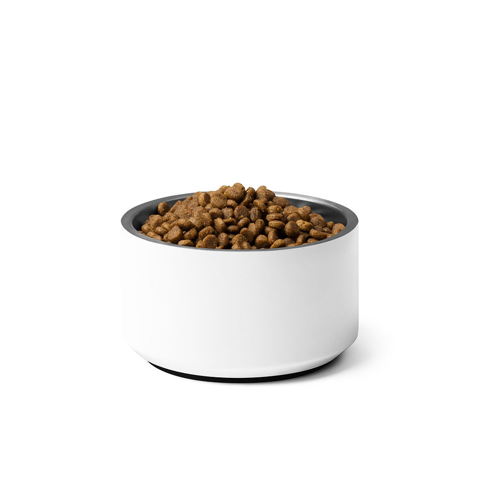 Thumbnail: The Sir Winston - NXXT Pet bowl