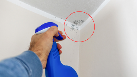 Mould on ceiling corner in bathroom or bedroom