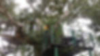 Resorts for Day Outing in Bangalore | Resort for day outing in Bangalore