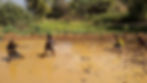 Resorts for Day Outing in Bangalore | Resort for day outing in Bangalore