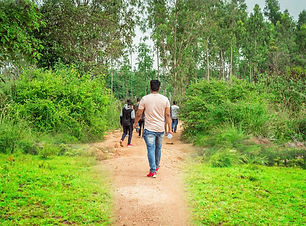 Plantation Walk - Homestay in Sakleshpur.jpeg