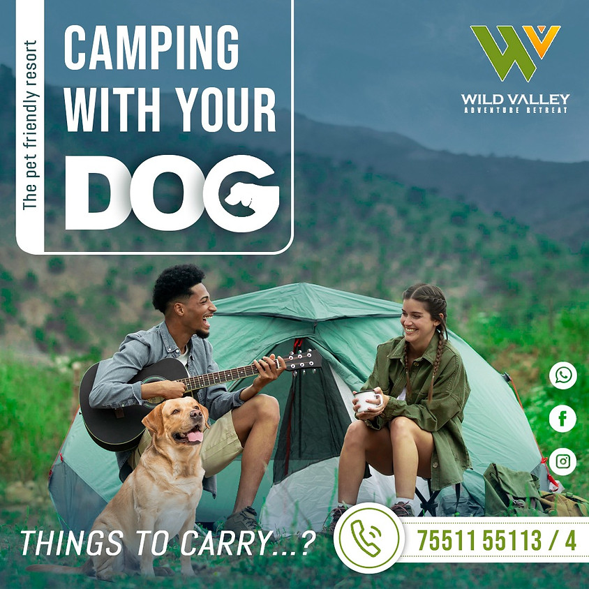 Camping With Your Dog