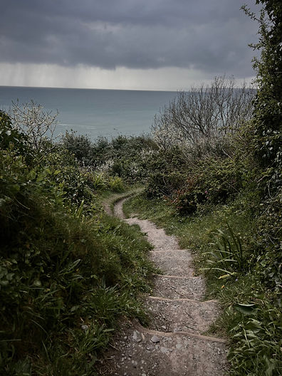 A rugged stone and grass coastal path with roughly forty steps leading up the cliff toward Polhawn Lookout, showing the wild terrain near Polhawn Fort.