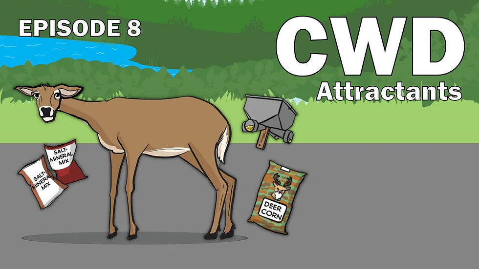 CWD Episode 8 Thumbnail.jpg