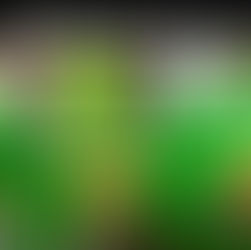 There is Deal after Deal this week! Read my post!