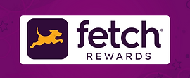 Fetch logo