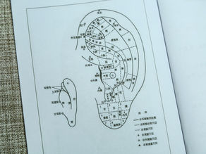 耳穴传奇： 耳穴的适应症，功效与原则