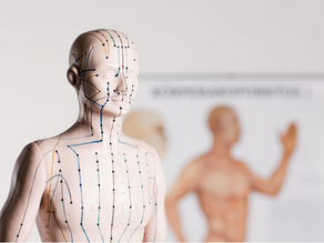 分论接经配穴法