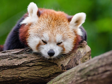 3 mistakes you are committing that prevent you from having a good night’s sleep