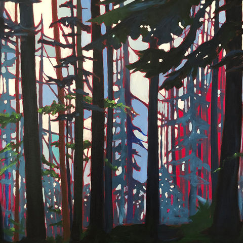 Pine Wood, acrylics on canvas, 70x70 cm