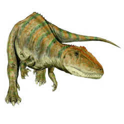 Información sobre el Carcharodontosaurus